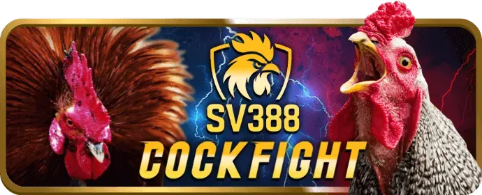 Cá cược Thể Thao Hitclub